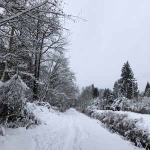 Meet your Posher, Jillian